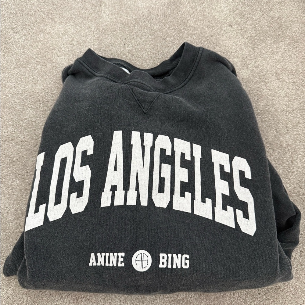 Anine Bing Charcoal Sweatshirt